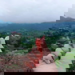 ความรัก สีเทา profile icon