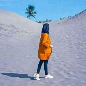 Dini AN profile icon