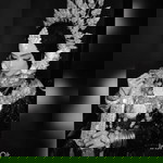 Sulviana Djaliluddin profile icon