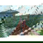 Melrose Bonola Paca-anas profile icon