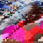 Phùng Hải Vân profile icon