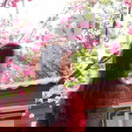 Little Fear profile icon