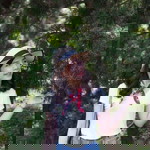 Arisa Nasinprom profile icon