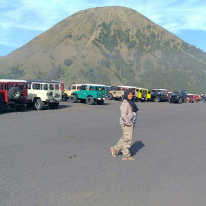 alicya safitrie profile icon