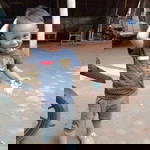 Devi Permata Hidayat profile icon