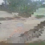 Mah Sahrul Mubarok profile icon