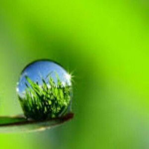 Lucky Artanabil profile icon