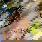 ก้อย ธุวพร. profile icon