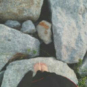 Amira Adlina profile icon