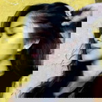 Evereil Rudinas profile icon