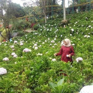 Nazilatur Rohmah profile icon