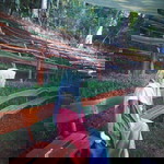 Siti Halimah profile icon