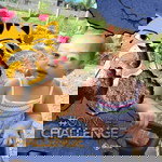 May Ann Balbuena Dalayon profile icon