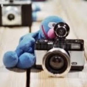 syafi salehan profile icon