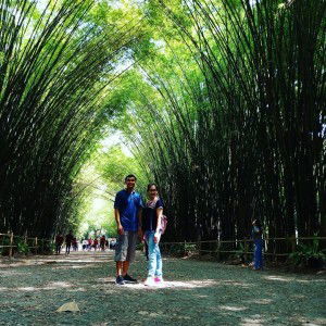 Pui Family's Sornlump profile icon