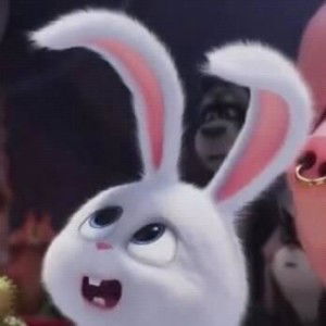 Tuti Irmalasari profile icon