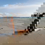 Rose Ann profile icon