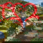 Romanillos C. Rosa May profile icon