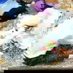 Nizam Nurul profile icon