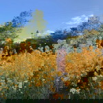 Onnutcha Chotvilaiwan profile icon