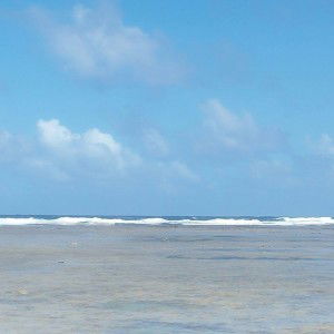 Eves Lyn profile icon