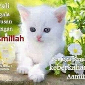 NIA GUSLINA profile icon