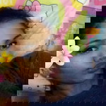 Melisa Pascua profile icon