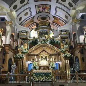 Shygirl profile icon