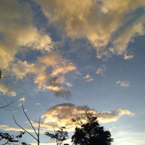 Liliana Nhiey profile icon