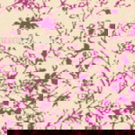 rabiatul adawiyah samingon profile icon