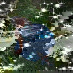 Charlote Montefalcon profile icon