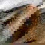 Milky Lover profile icon