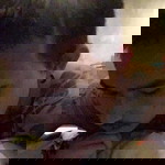 Merry Jame profile icon