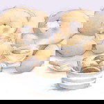 Beverly Rose de Paz profile icon