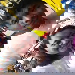 Mikmik Sandiego profile icon