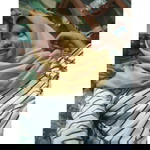 Siti Lutfia profile icon