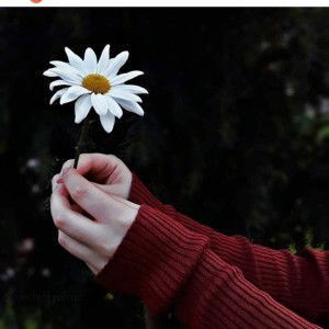 ibu Ismail profile icon