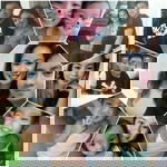 Erica Arios profile icon