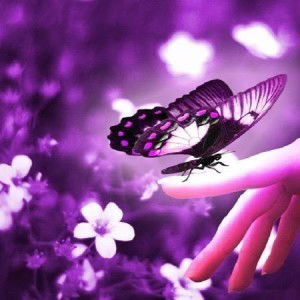 Siti Holisoh profile icon