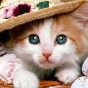 Jhovz Abaigar profile icon