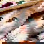 Jhovz Abaigar profile icon