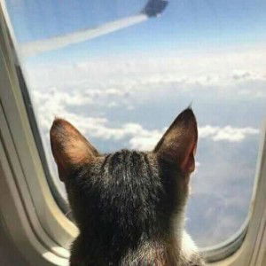 ratna sari profile icon