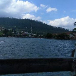 Dhita Ayu A. profile icon