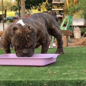 คนเลี้ยงไก่ ไก่เลี้ยงคน profile icon