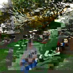 Nuch Atchara profile icon