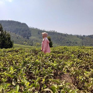 Sity May profile icon