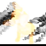 i'HAzgao Win Mind I profile icon