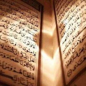 ummu abdullah ammar profile icon