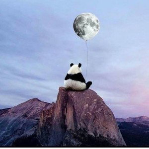 Qies Kikis profile icon