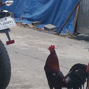 Mark John Paran profile icon